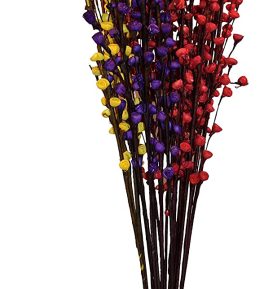 simonart and printing dry flowers 2ft