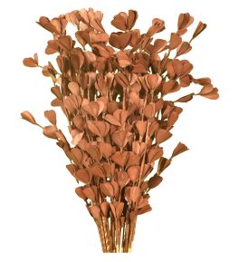 simonart and printing dry flowers 2ft