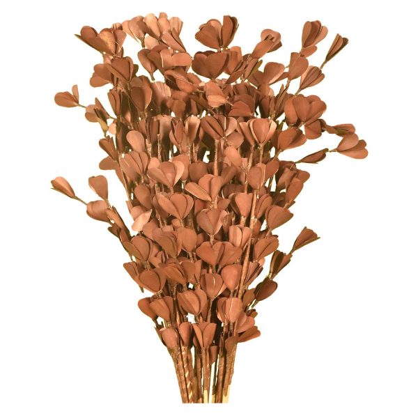simonart and printing dry flowers 2ft