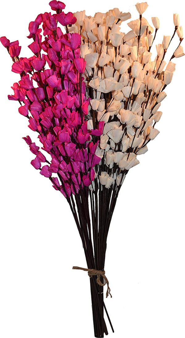 simonart and printing dry flowers 2ft