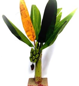 Artificial Banana Tree for Pooja - Metal Banana Trees for Decoration 1 ft 1 pice
